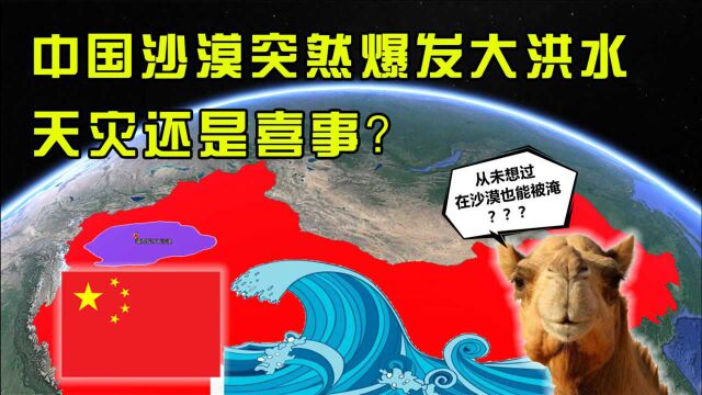 沙漠爆发大洪水?是天灾还是喜事?骆驼:从未想过在沙漠也能被淹!