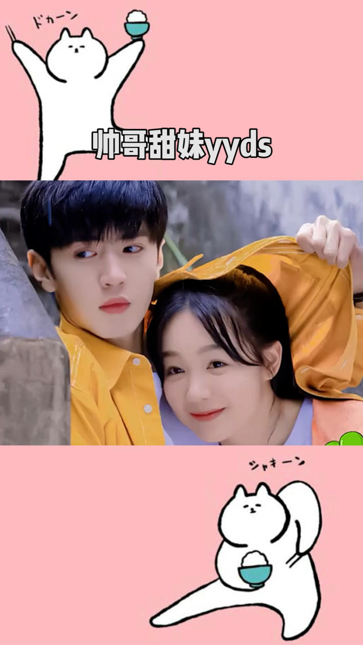 陈哲远 徐梦洁 这cp感也是没谁了