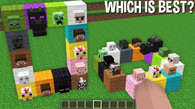 我的世界:哪个 MULTI MOB 门户是 Minecraft 中最好的? 超级秘密门户!猜猜看?