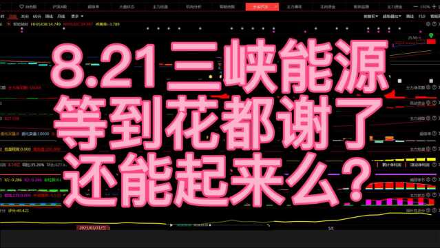 8.21三峡能源,等到花都谢了,还能起来么?