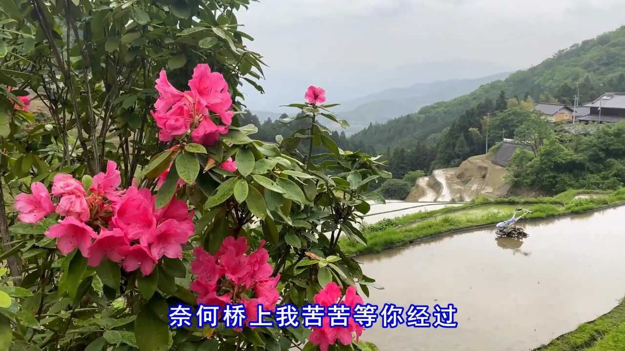 大欢一首奈何桥上为了等你愿受千年折磨痴情感人好听催泪