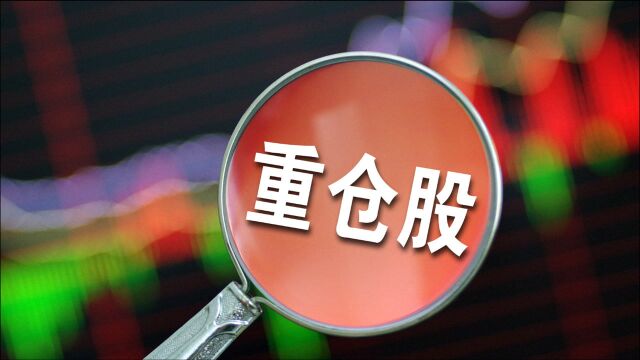 “国家队”中报重仓股名单出炉 这些绩优持仓股低估值