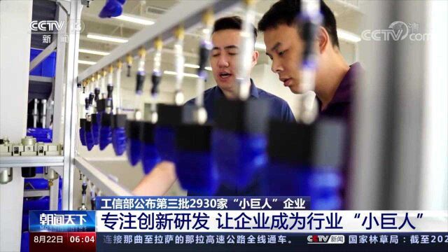 什么样的企业能够成为“小巨人”企业?