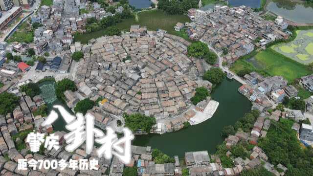 航拍肇庆市高要区八卦村原创视频