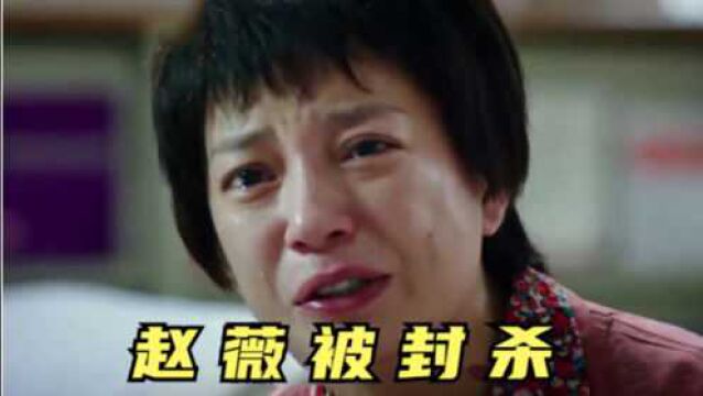 赵薇被封杀!参演作品全部被除名,曾被冻结上百万股权