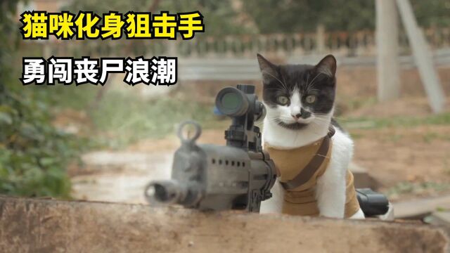 小奶猫遭到丧尸围攻,猫咪化身特种兵狙击手,勇闯丧尸浪潮#电影HOT短视频大赛 第二阶段#