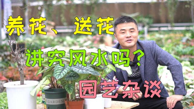 养花、送花也讲究风水吗?玄学的尽头是科学,园艺杂谈.