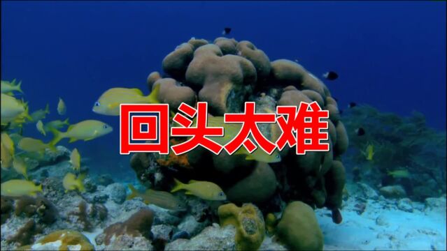 经典老歌《回头太难》词曲入心扉,听哭多少人