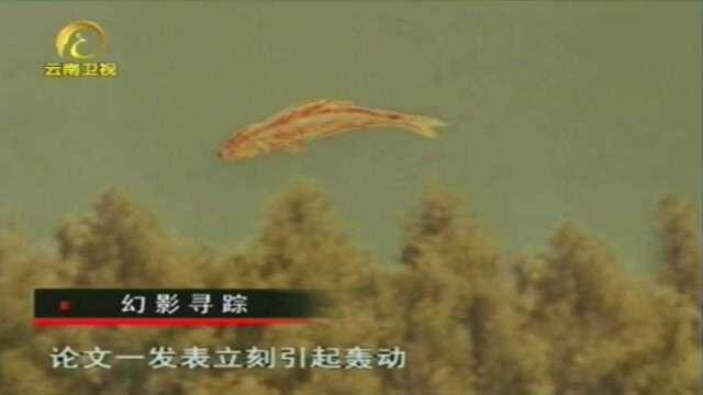 喀纳斯湖惊现十几米长大鱼?专家发表论文,引起国内外轰动