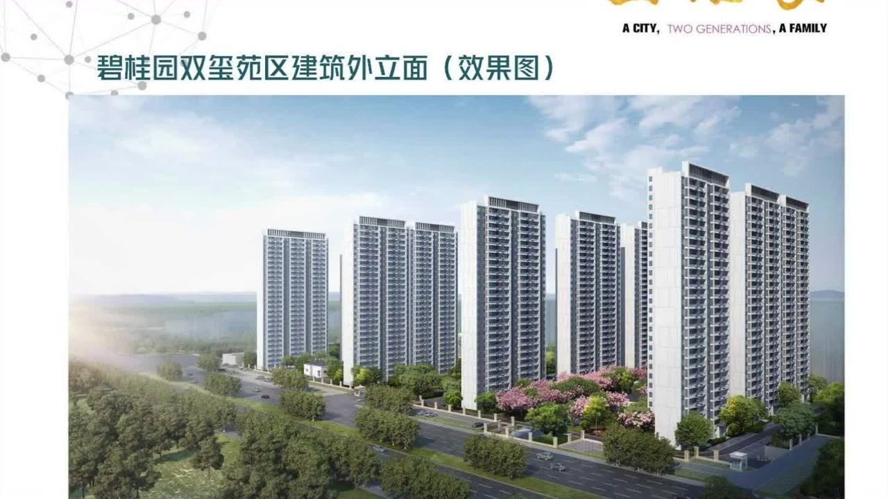 阜宁碧桂园双玺项目简介