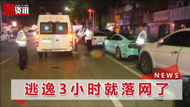 批捕!安徽一环卫工凌晨被撞身亡,车主被警方敲门却“一无所知”