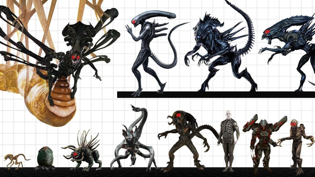 异形大战铁血战士历代所有异形体型大小比较铁血战士不堪一击