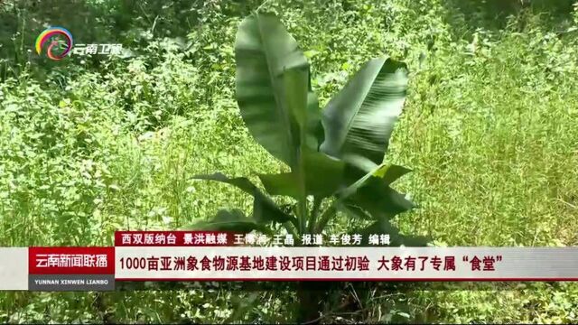 1000亩亚洲象食物源基地建设项目通过初验 大象有了专属食堂