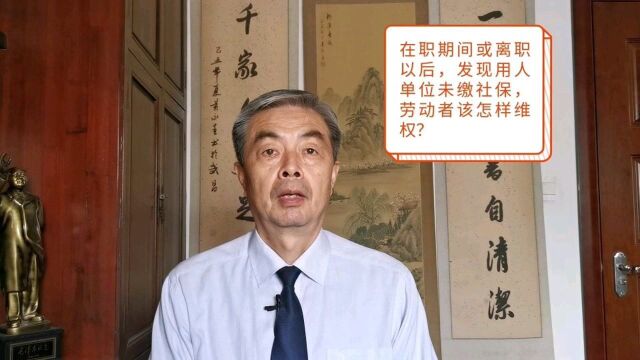 在职期间或离职以后,发现用人单位未缴社保,劳动者该怎样维权?