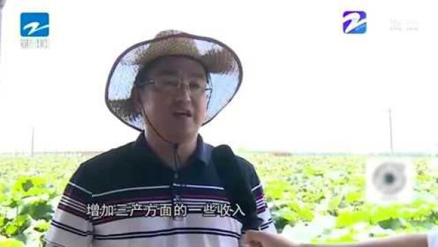 慈溪:现代农业开发区高质量谋划“争拼赶超”展示线起点