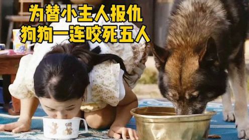 女儿被歹人所害，父亲将狗狗训练成杀人犬，韩国惊悚电影《嚎叫》 #电影HOT短视频大赛 第二阶段#