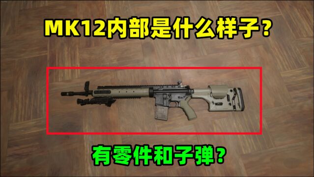 MK12的内部长什么样?有零件和子弹吗?透视进去看看