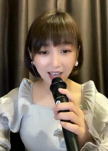 梁红演唱会图片