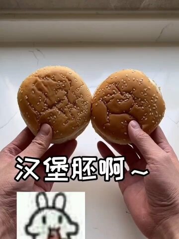 河马秘制小汉堡之妈沫觉醒