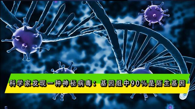 科学家发现一种神秘病毒:基因组中90%是陌生基因,一旦感染无药可医!