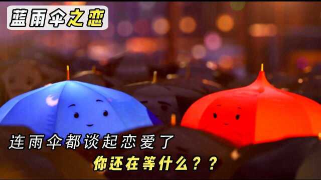 温馨短片《蓝雨伞之恋》,连雨伞都谈恋爱,愿有人能在雨天为你撑伞