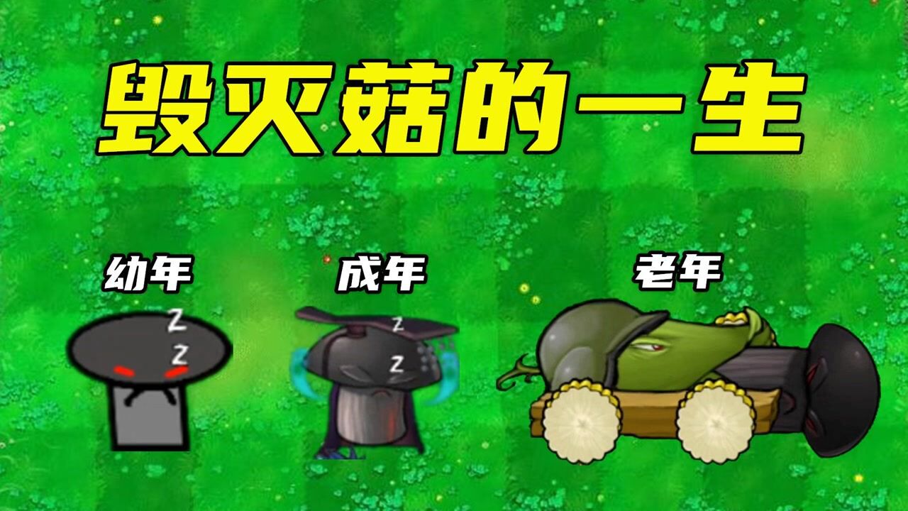 植物大战僵尸：毁灭菇的一生，为保护植物，单挑僵王博士！_高清