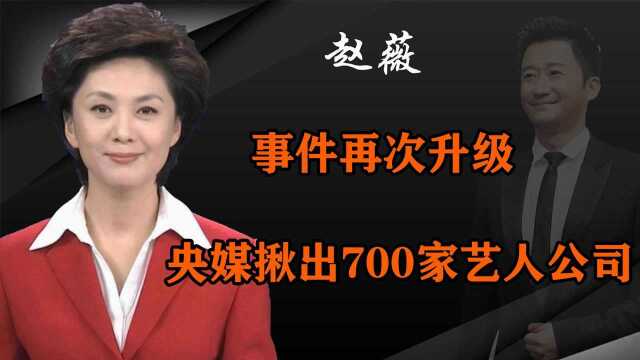 赵薇事件再升级!央媒连夜揪出700家艺人企业,吴京也或难逃一劫