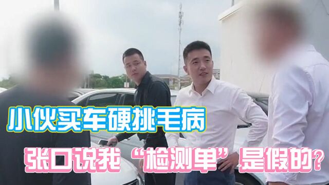 小伙买车硬挑毛病,张口非说我“检测单”是假的?