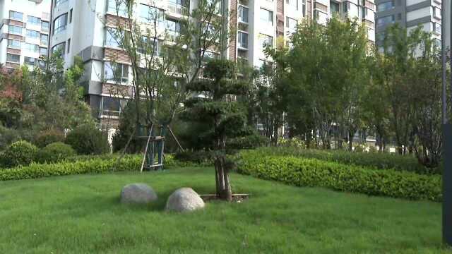 邹平:完善提升城市功能 充分激发城市活力