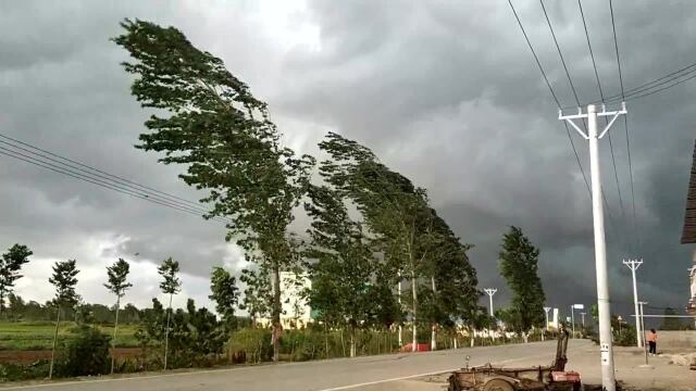 实拍:河南南阳农村暴风雨来临前的场面,人都站不稳,真壮观