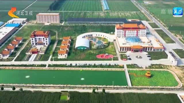 衡水:文旅融出新天地 且以诗意共远方