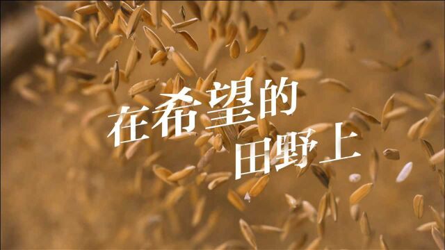 金融活水成就“稻渔茶旅”工商银行支持贵州普安生态保护建设