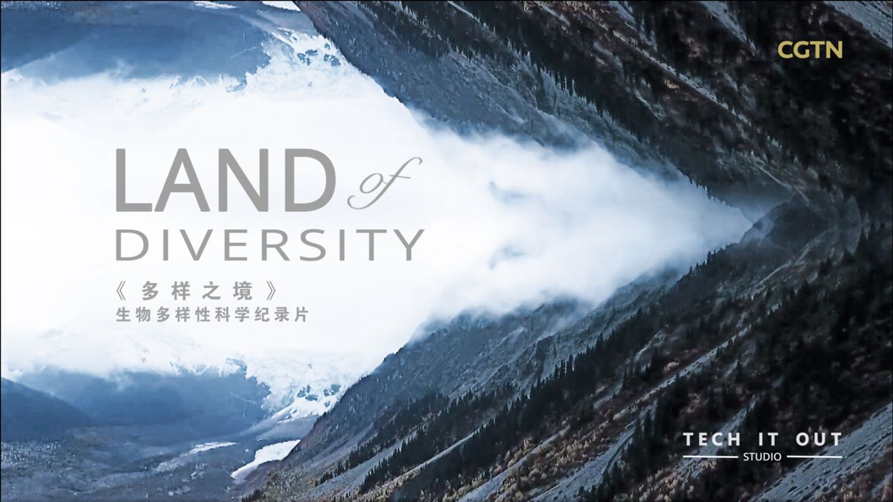 生物多样性科学纪录片:多样之境_高清1080P在线观看平台_腾讯视频