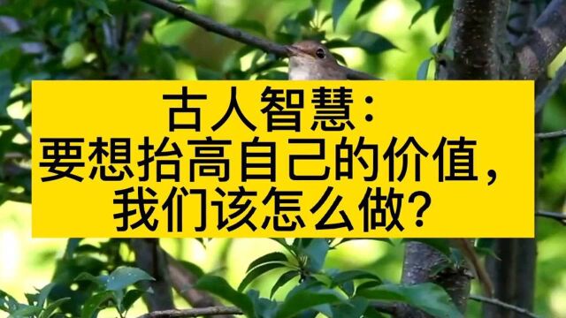 古人智慧:人往高处走,水往低处流!