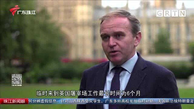 英国急发800张签证 招欧盟屠夫“杀猪”