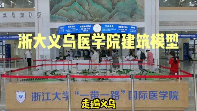 走遍义乌—在浙四医院门诊一楼看浙江大学一带一路国际医学院校区模型