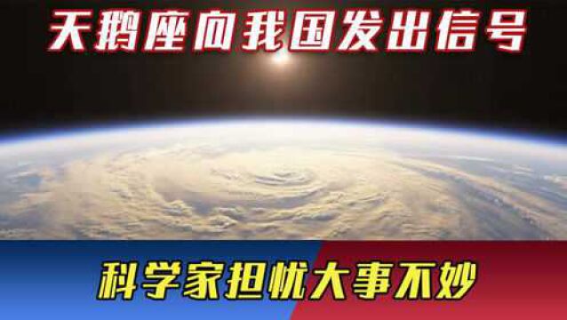 天鹅座向我国发出信号,内容突破人类认知,科学家担忧大事不妙