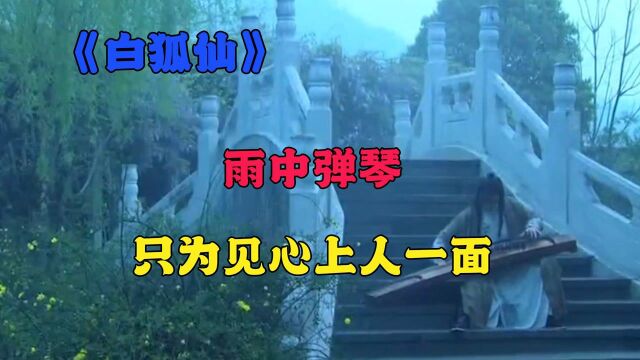 《白狐仙》:雨中弹琴,只为见心上人一面