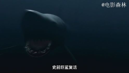 史前巨鲨被意外放出，能够一口咬断一座桥？（上）