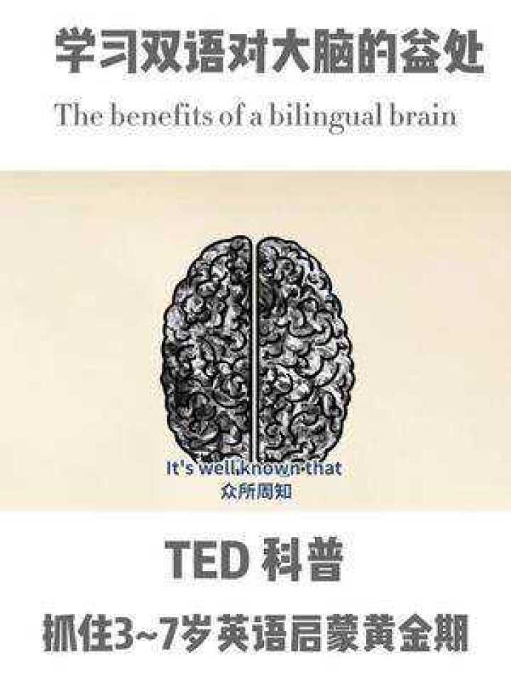 Ted科普：学习双语对大脑的益处 英语启蒙 腾讯视频}