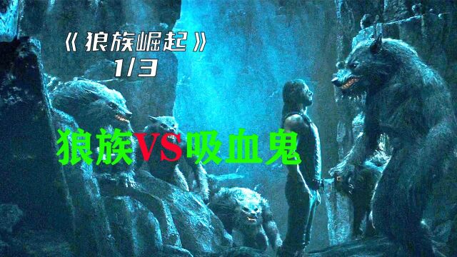 《黑夜传说3》第1集|狼人VS吸血鬼 谁能笑道最后?