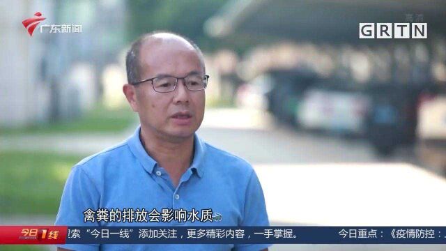 飞越广东:生态建设 乘风破浪碧水间 河长制推进“河长治”