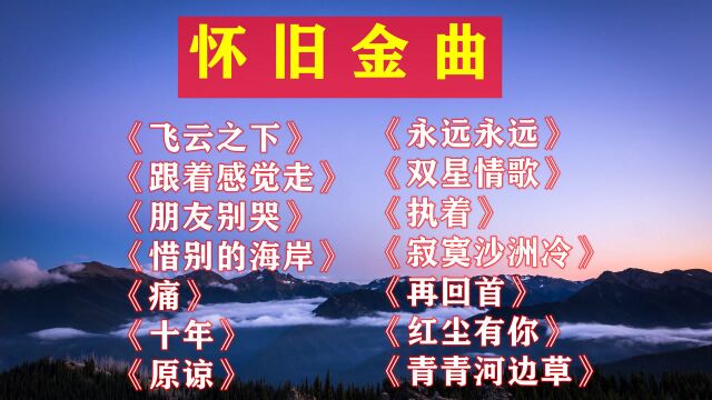 《跟着感觉走》《朋友别哭》《十年》《原谅》《执着》《寂寞沙洲冷》《爱》《再回首》《红尘有你》《青青河边草》