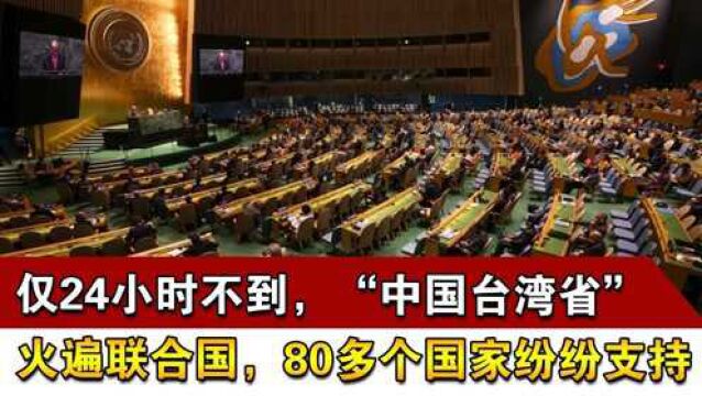 仅24小时不到,“中国台湾省”火遍联合国,80多个国家纷纷支持