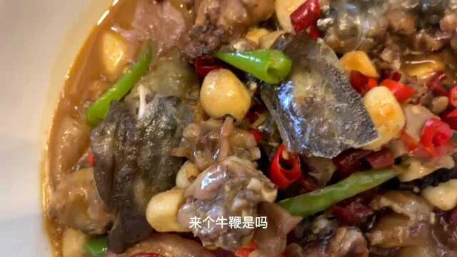 你吃过这样的牛鞭吗?转发点赞本视频到井岗缘菜金享八折优惠哦!