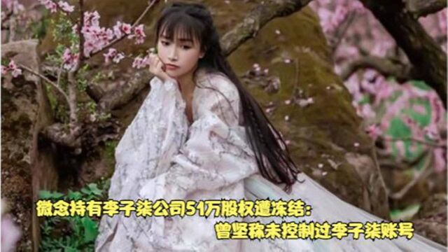 微念持有李子柒公司51万股权遭冻结:曾坚称未控制过李子柒账号,曾就股权纷争发布声明