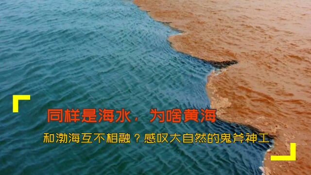 同样是海水,为啥黄海和渤海互不相融?感叹大自然的鬼斧神工