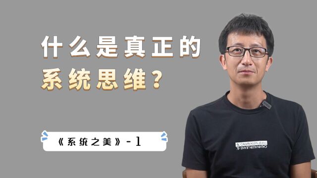 什么是真正的“系统思维”?一个系统三个层次:要素、连接、目标