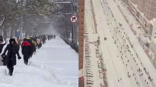 注意安全!辽宁鞍山暴雪交通停运,全城开启步行模式