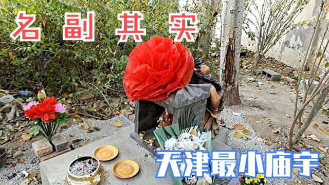 南开区北草坝土地庙,不足一米高,这才是天津市最小庙宇